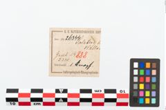 Etikett zu Bronzeriemenbesatzknopf (NHMW-PRAE-026344)